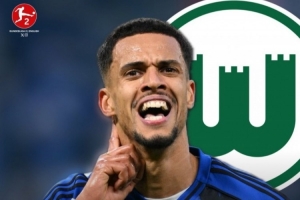 沃尔夫斯堡vs汉堡_德甲转会最新动态_格拉策尔加盟狼堡