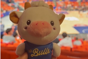 La Bull Bull比赛直播_CBA总决赛高清在线观看_NBL篮球最新动态