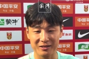 武磊比赛直播_中国足球最新动态_世界杯征程遗憾与坚持